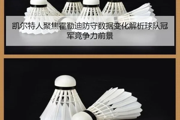 凯尔特人聚焦霍勒迪防守数据变化解析球队冠军竞争力前景 | kaiyun